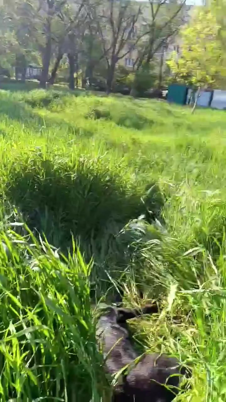 @Ludmila🤍
