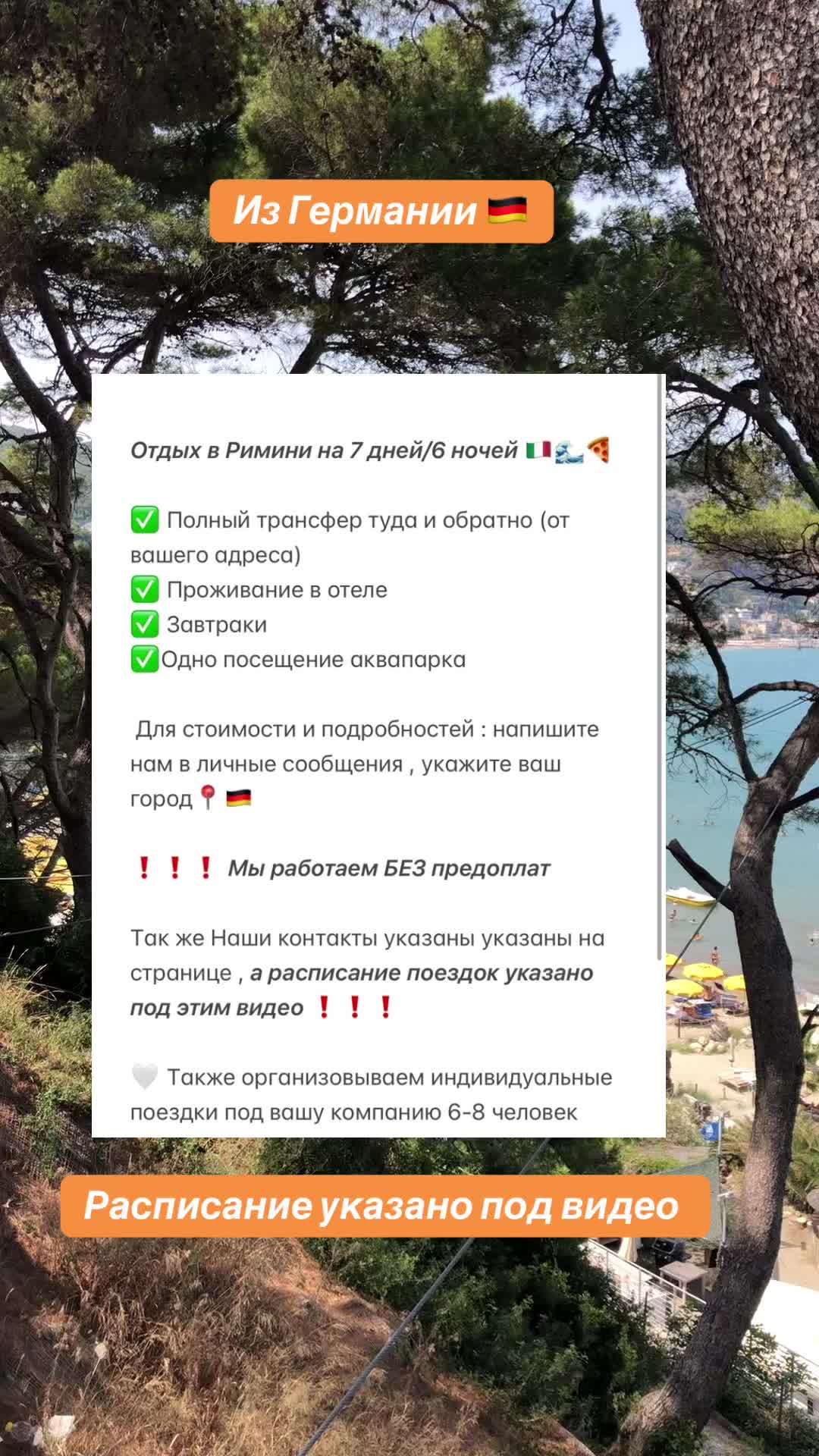 @Mario Tours