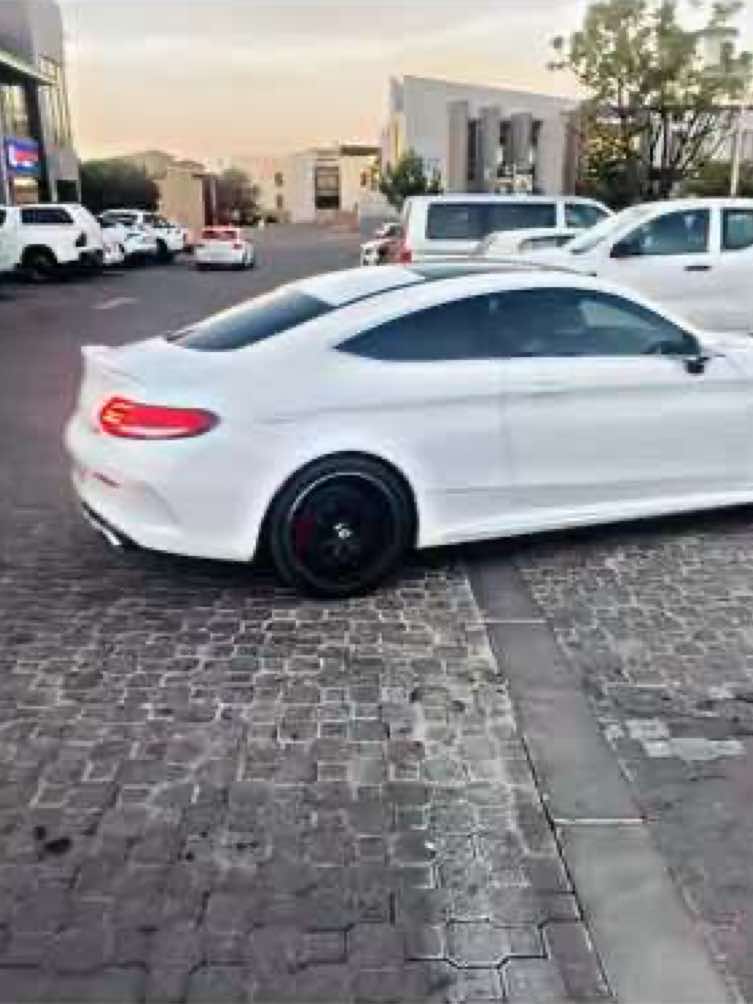 @PLK Exotics