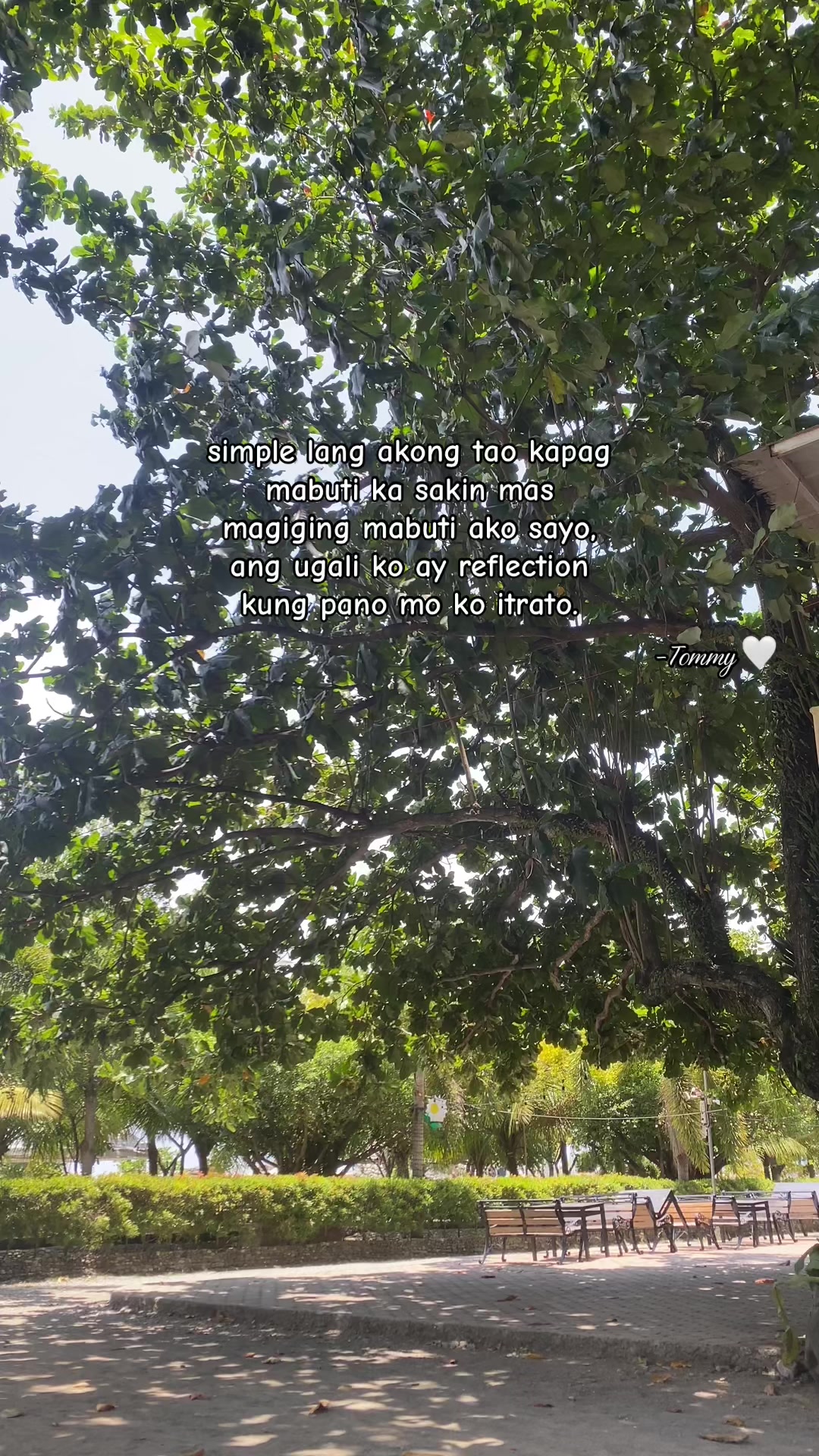 @tommypt01