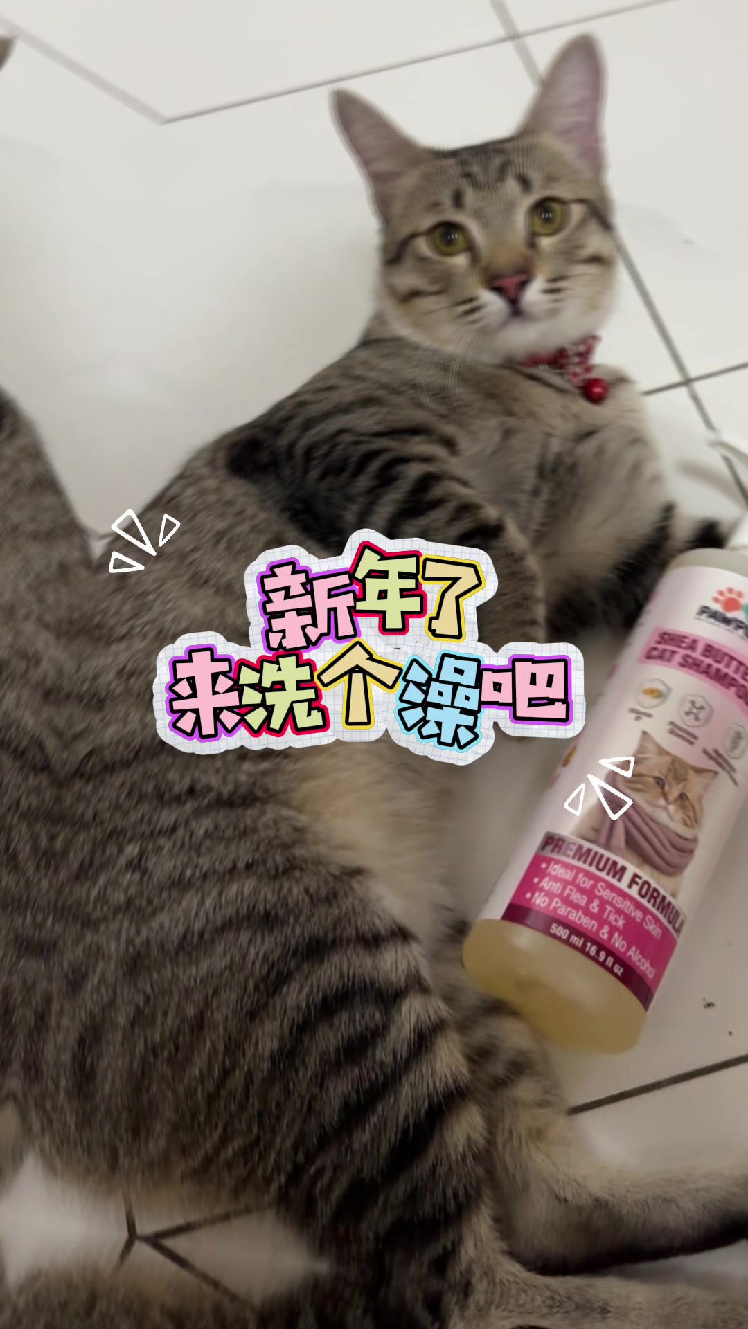 @PAW PUFF HOUSE