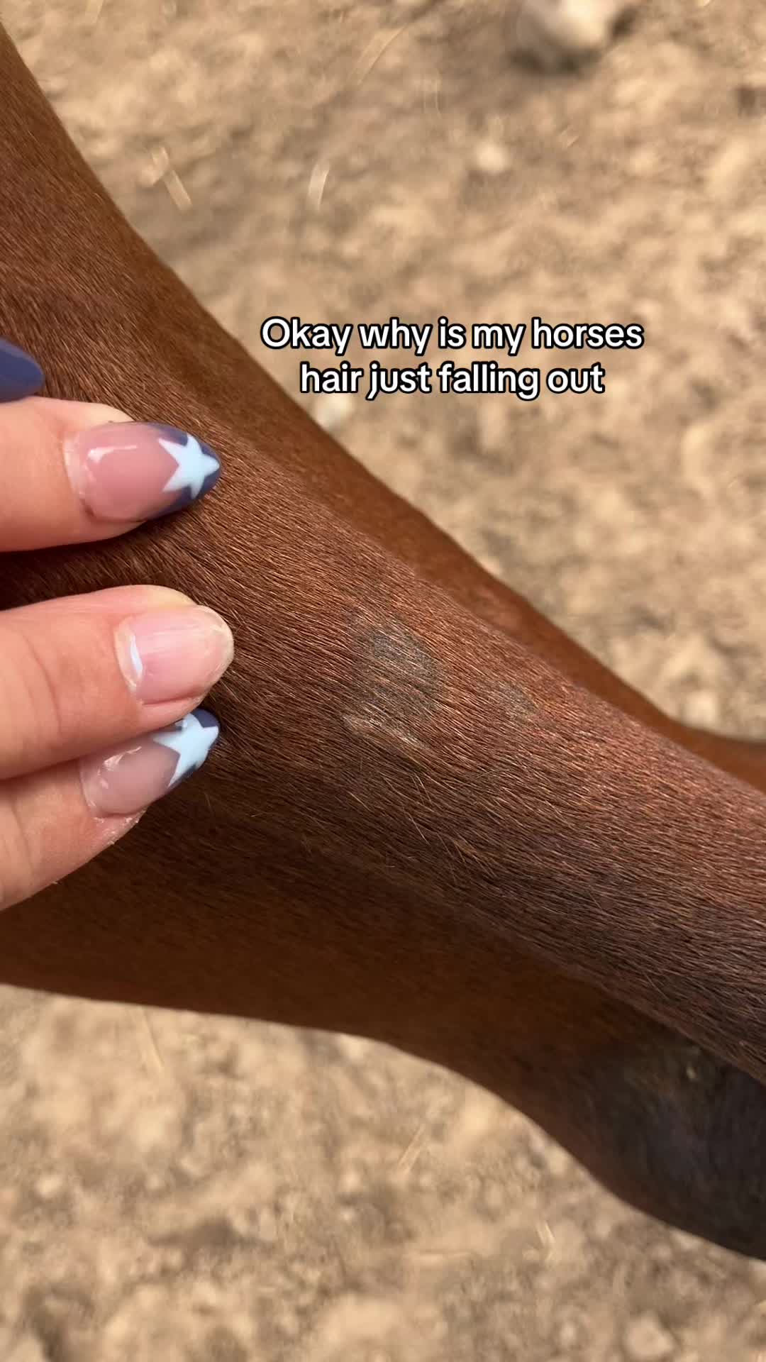 @kaylinagraham