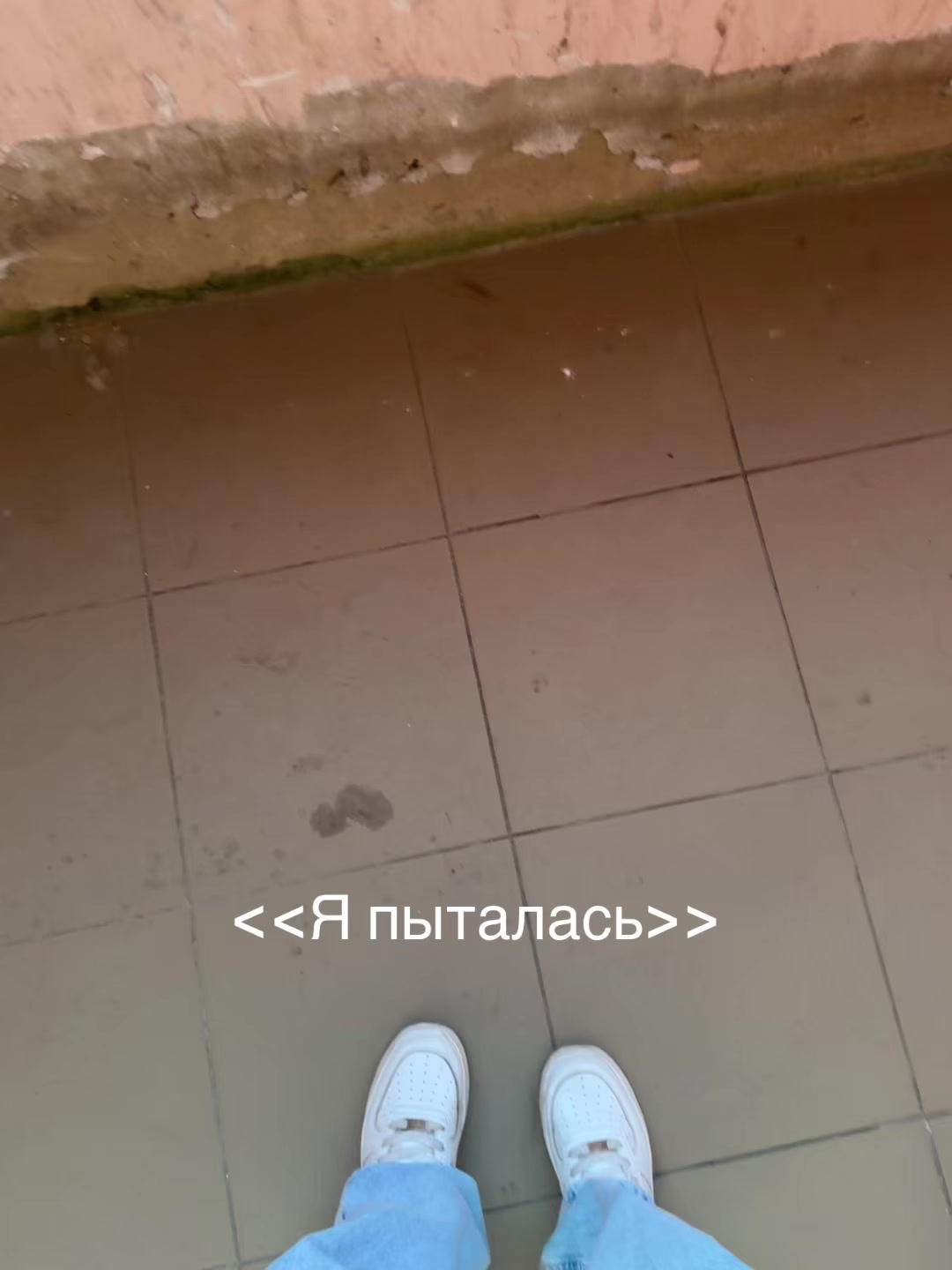 @🪽