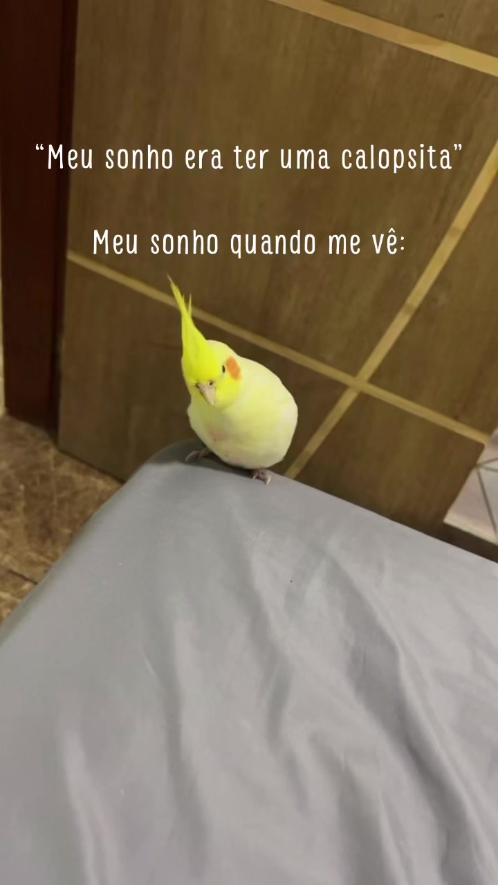 @Eu_Evellyn💋