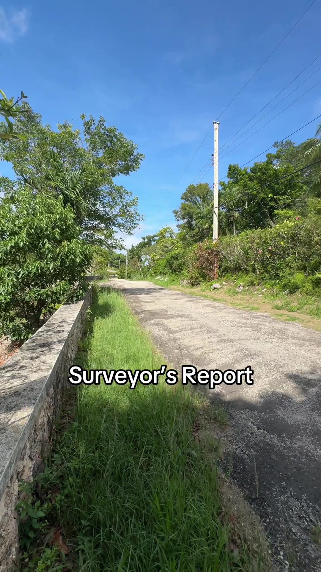 @jamaicasurveyors