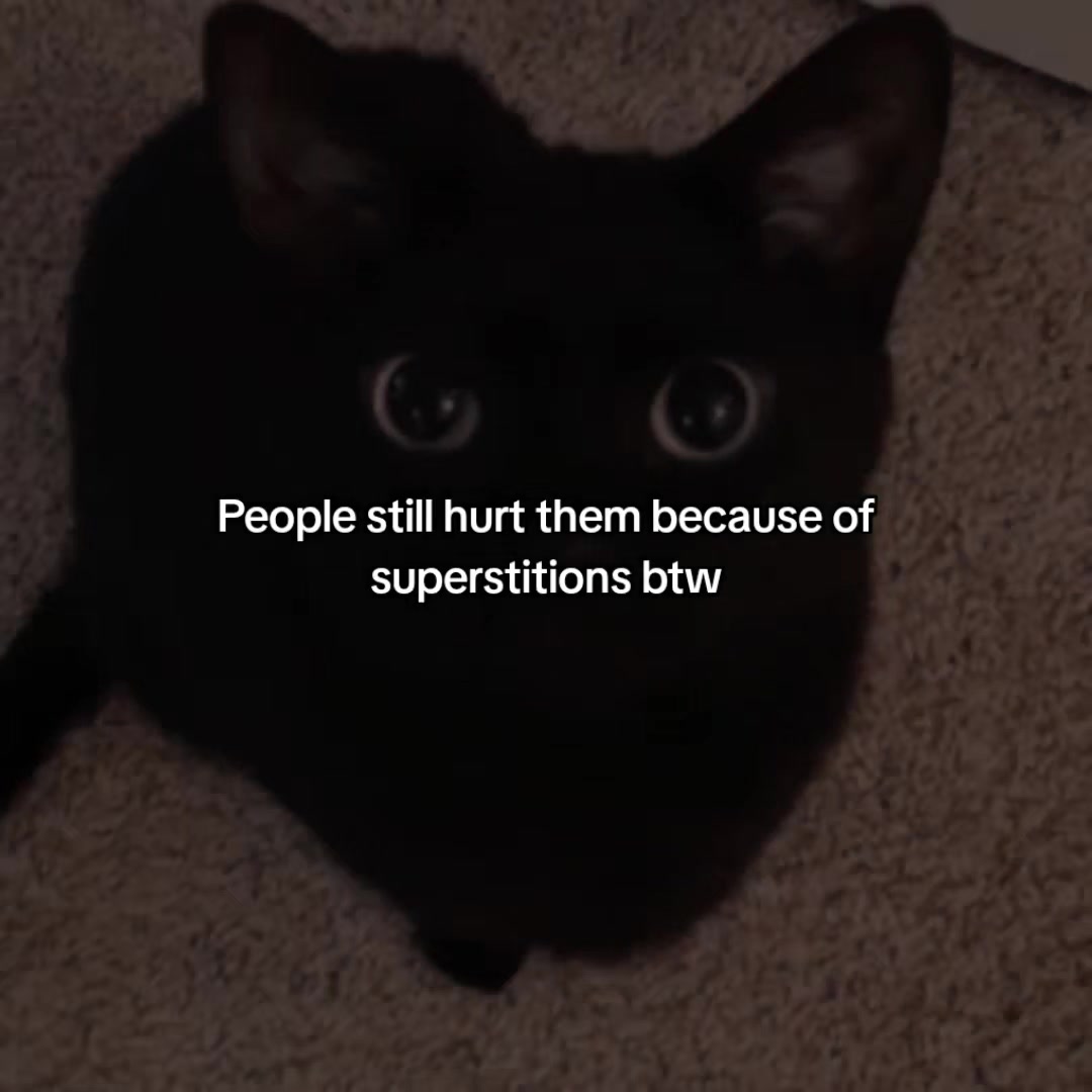 @tina