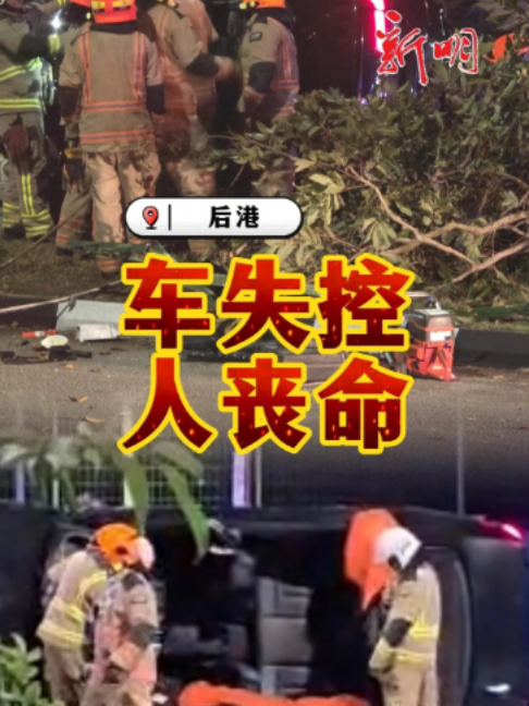 @新明日报