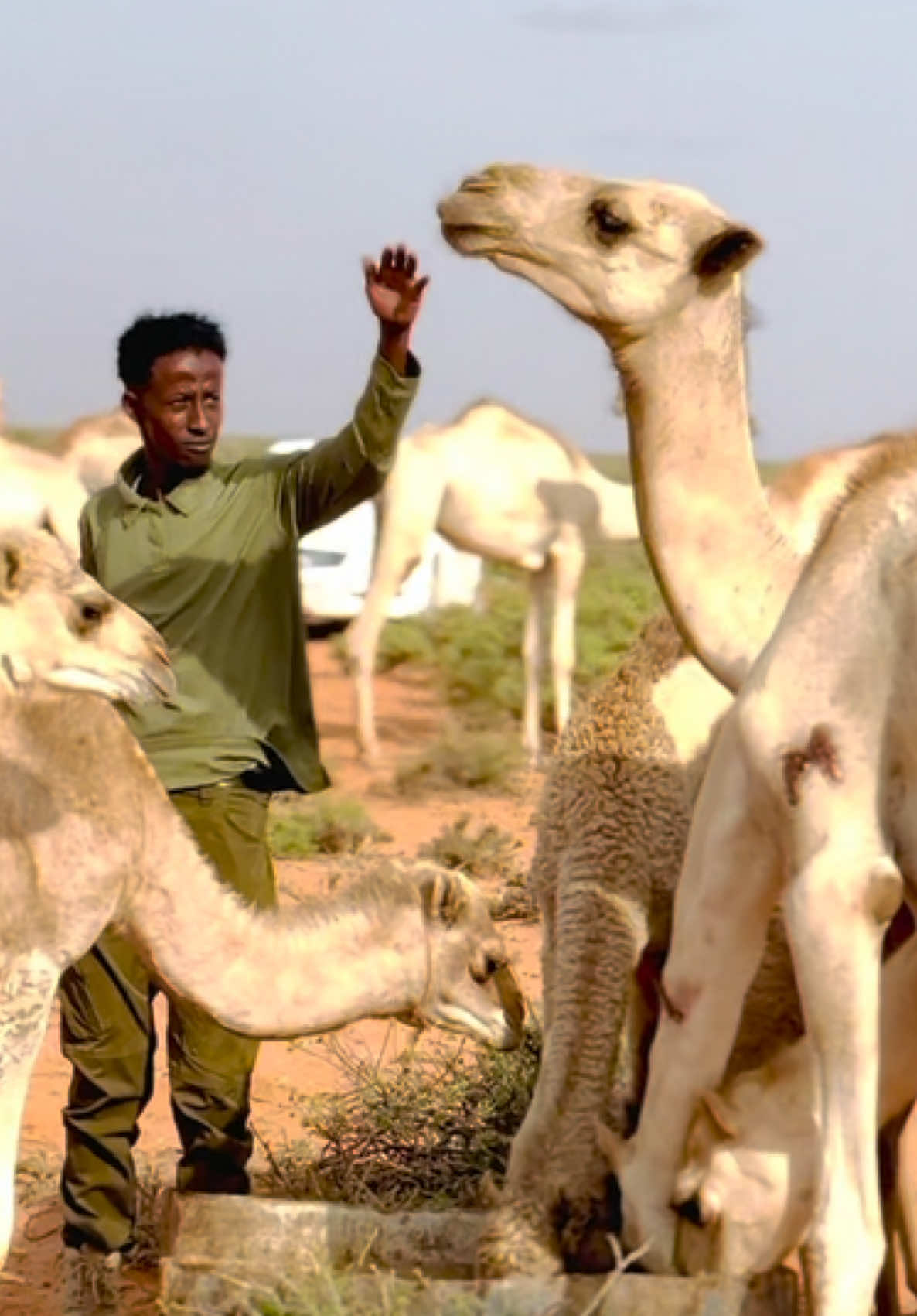 @king of galkacyo 🇸🇴