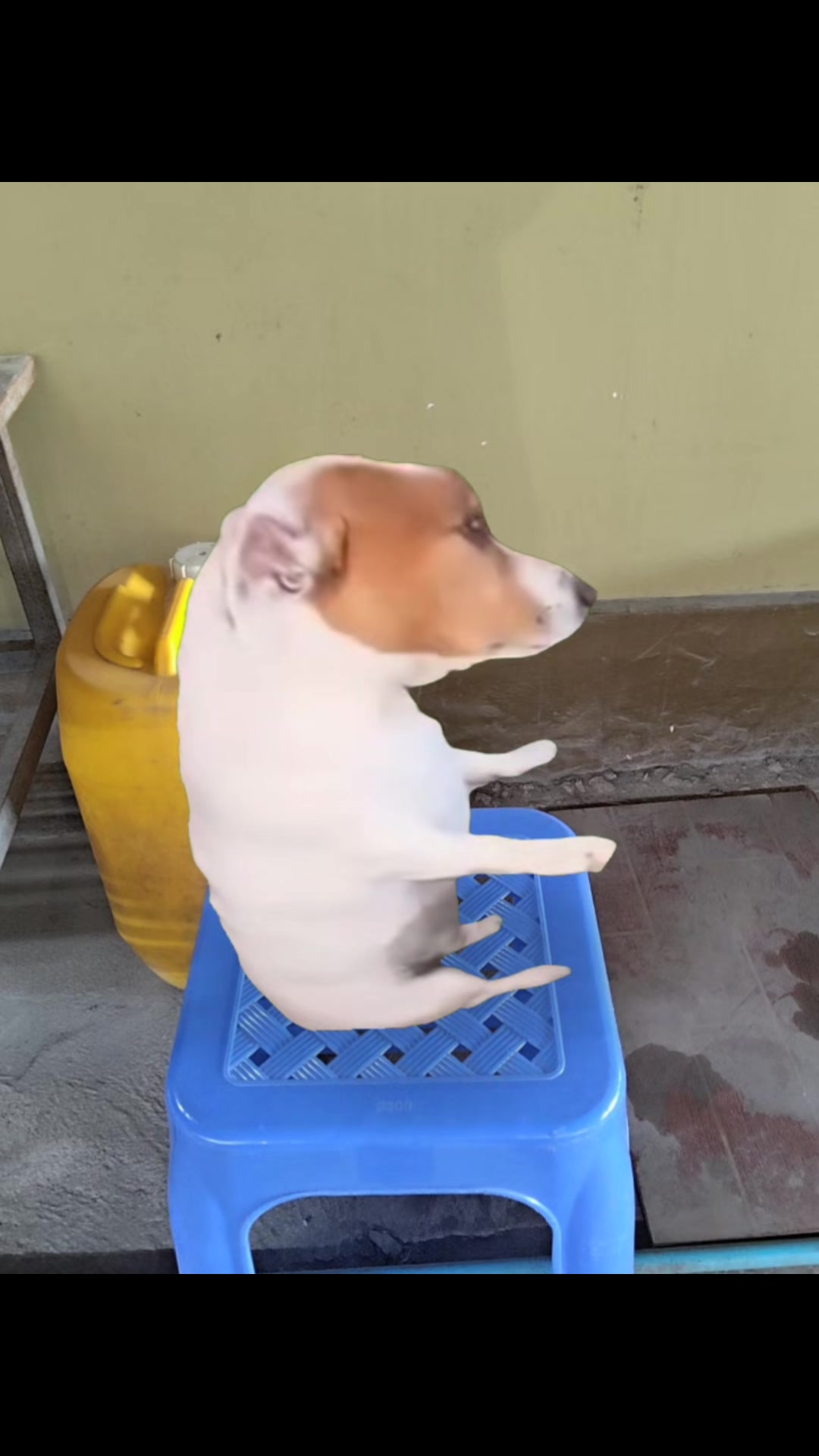 @꧁ 蒋晨阳 ꧂
