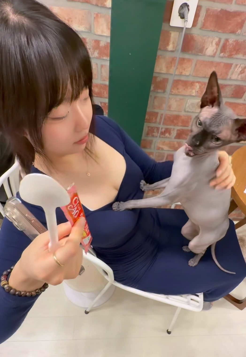 @용왕