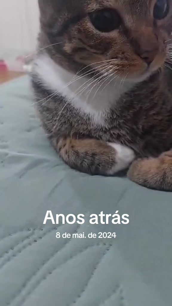 @Luci