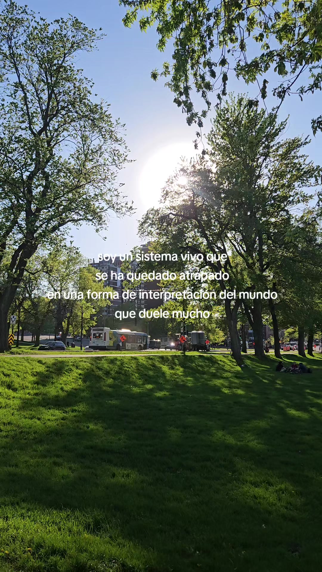 @todalavainilla