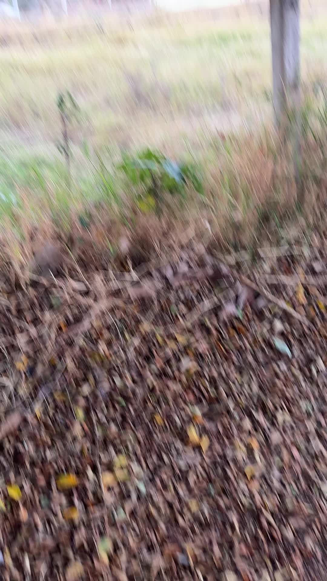 @paintballingwithnathan2๐๏ธ๐
๐ฃ