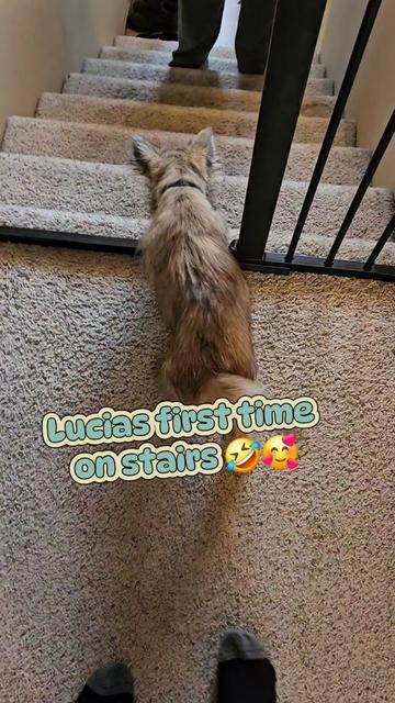 @Sp00kie_Sprite13