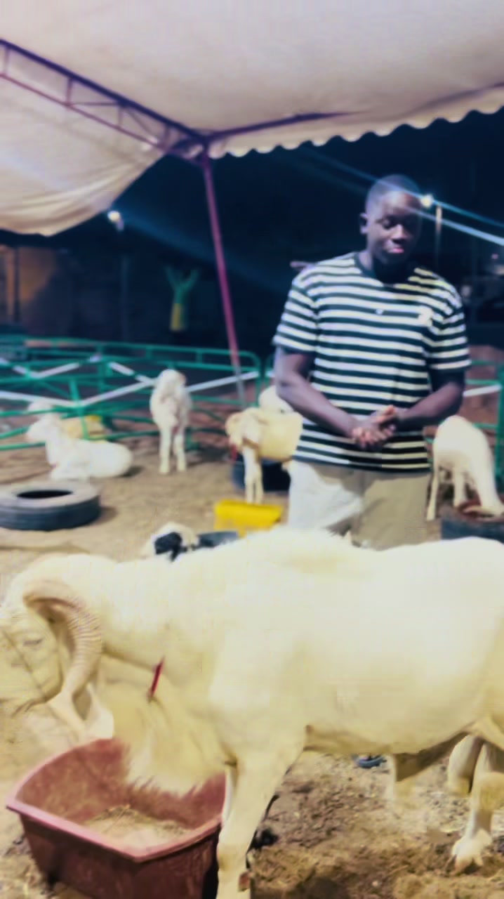 @Denis boy kl🇸🇳