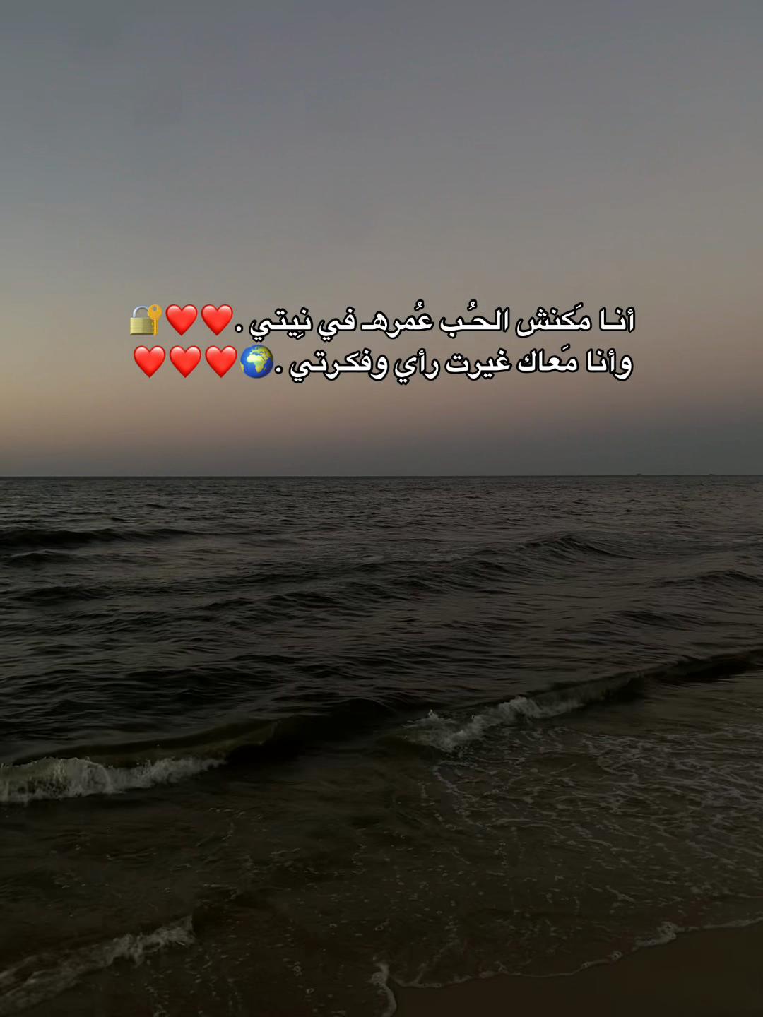 @shahd nassar