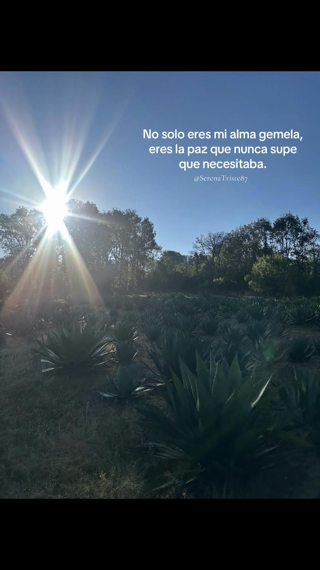 @SerenaTriste87