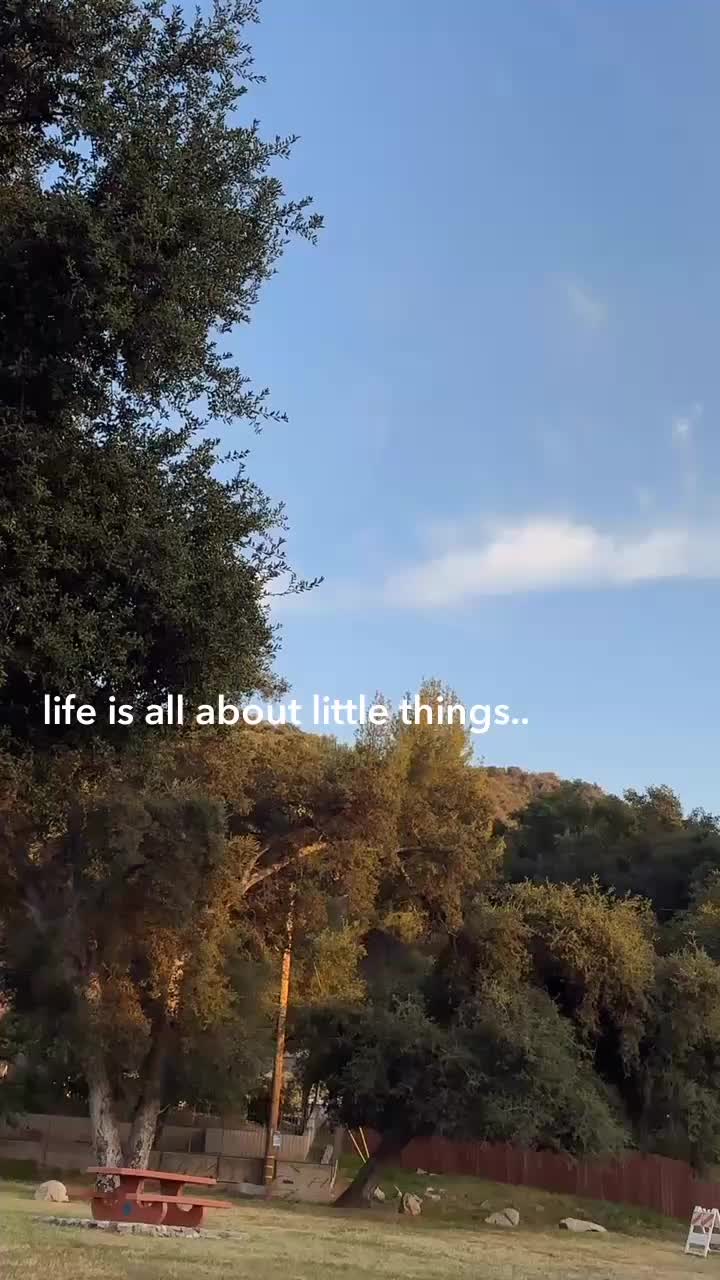 @SimpleHappiness🌞