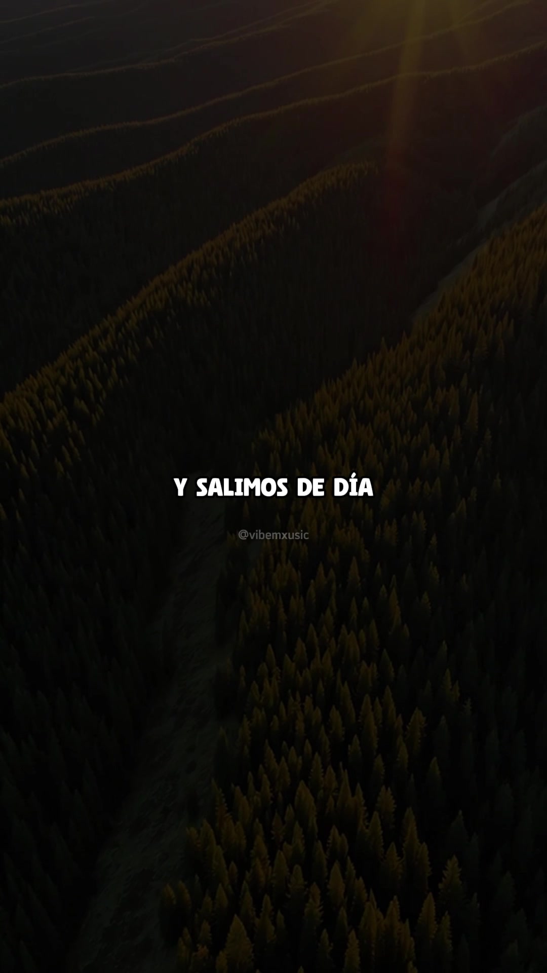 @Vibemxusic