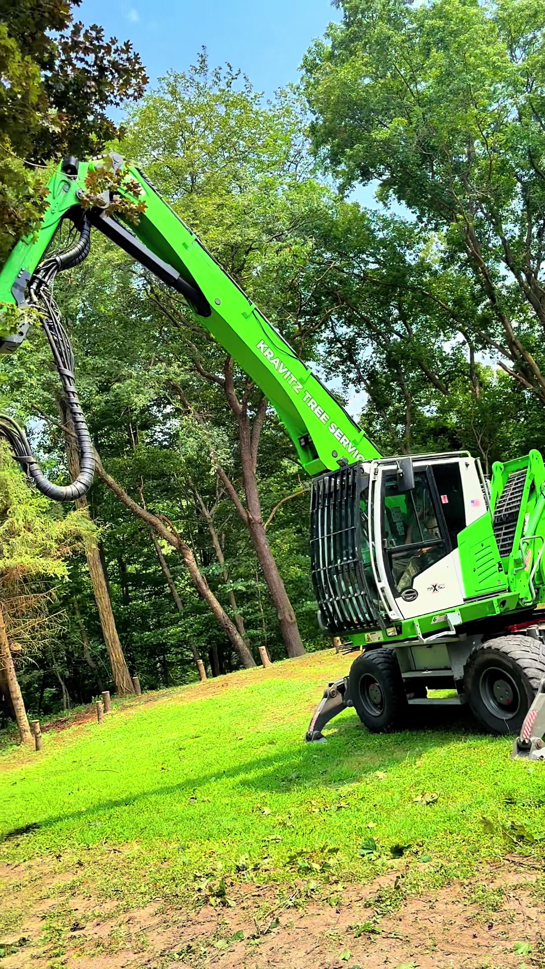 @kravitztreeservice