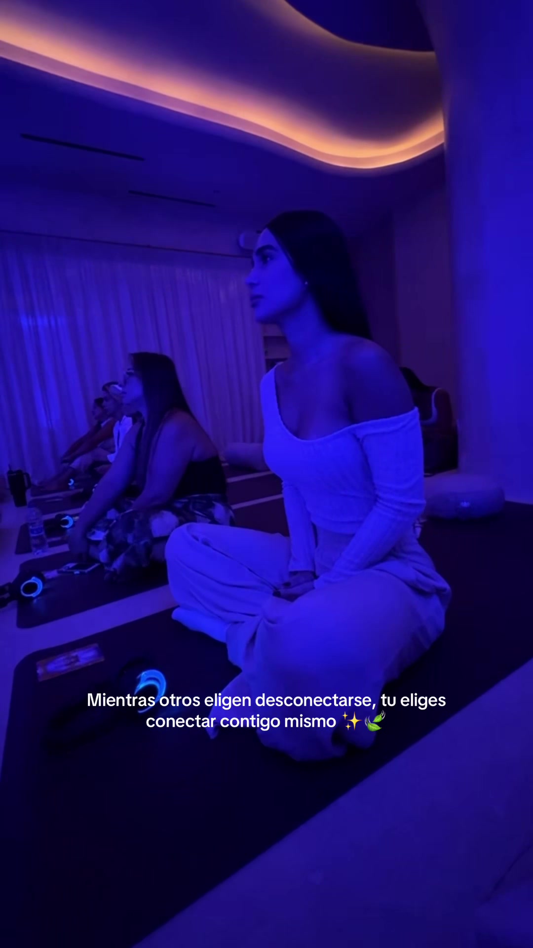 @• S H I R • ᥫ᭡