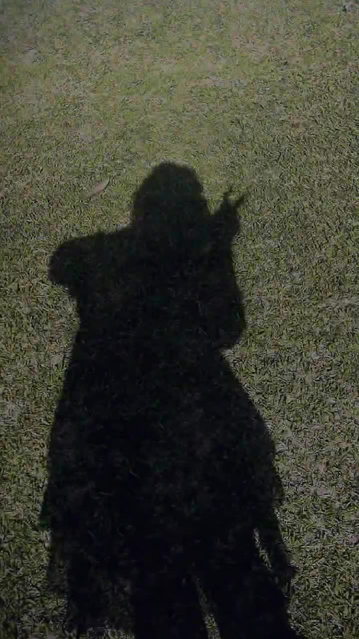 @妮莎_柠檬甜🪐