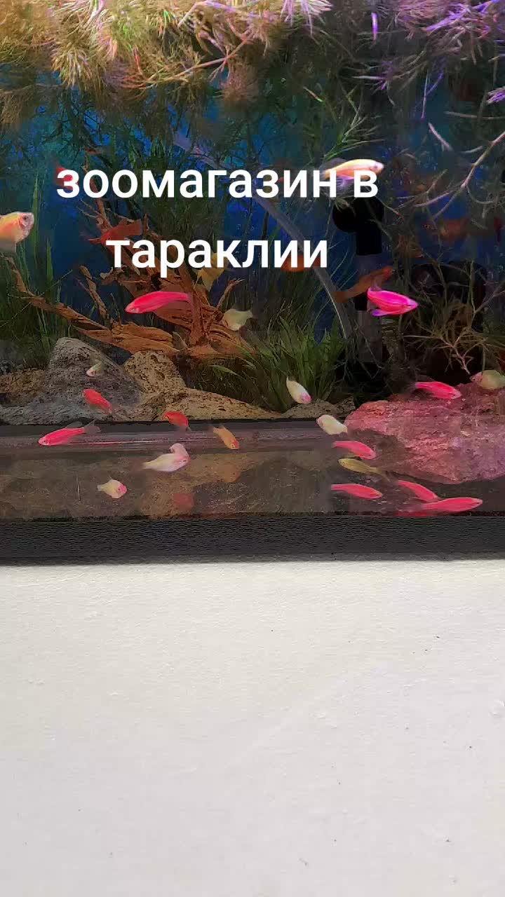 @Жужа