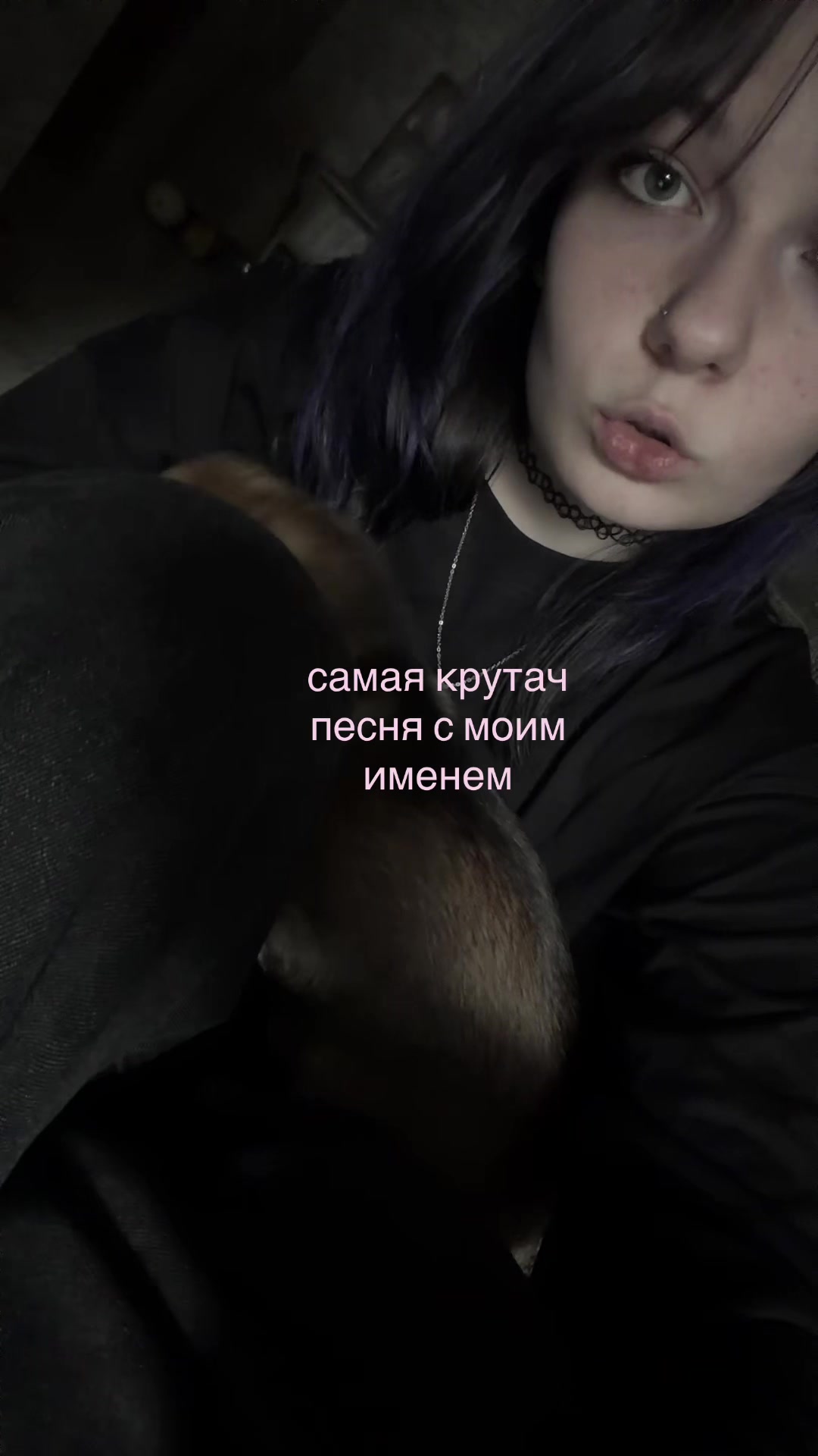 @swimming_cat