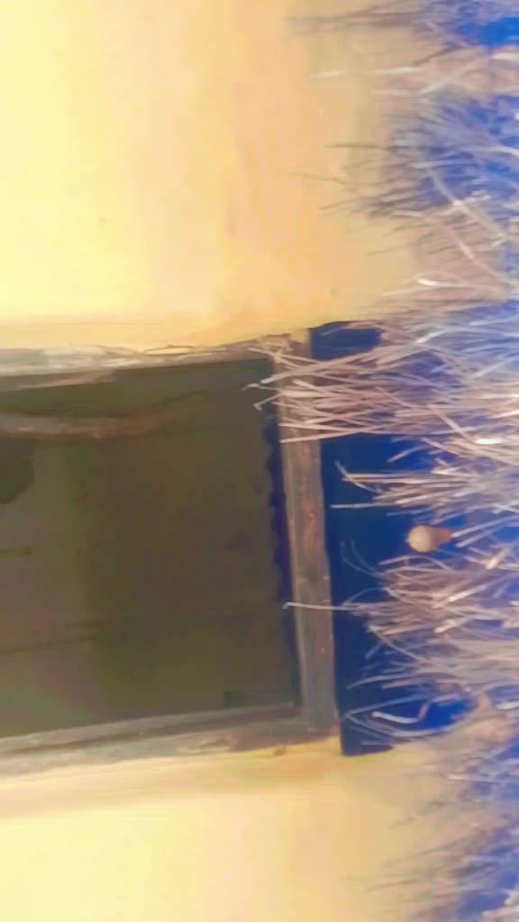 @⚡𝚱𝚫𝐋𝐋𝐔💫