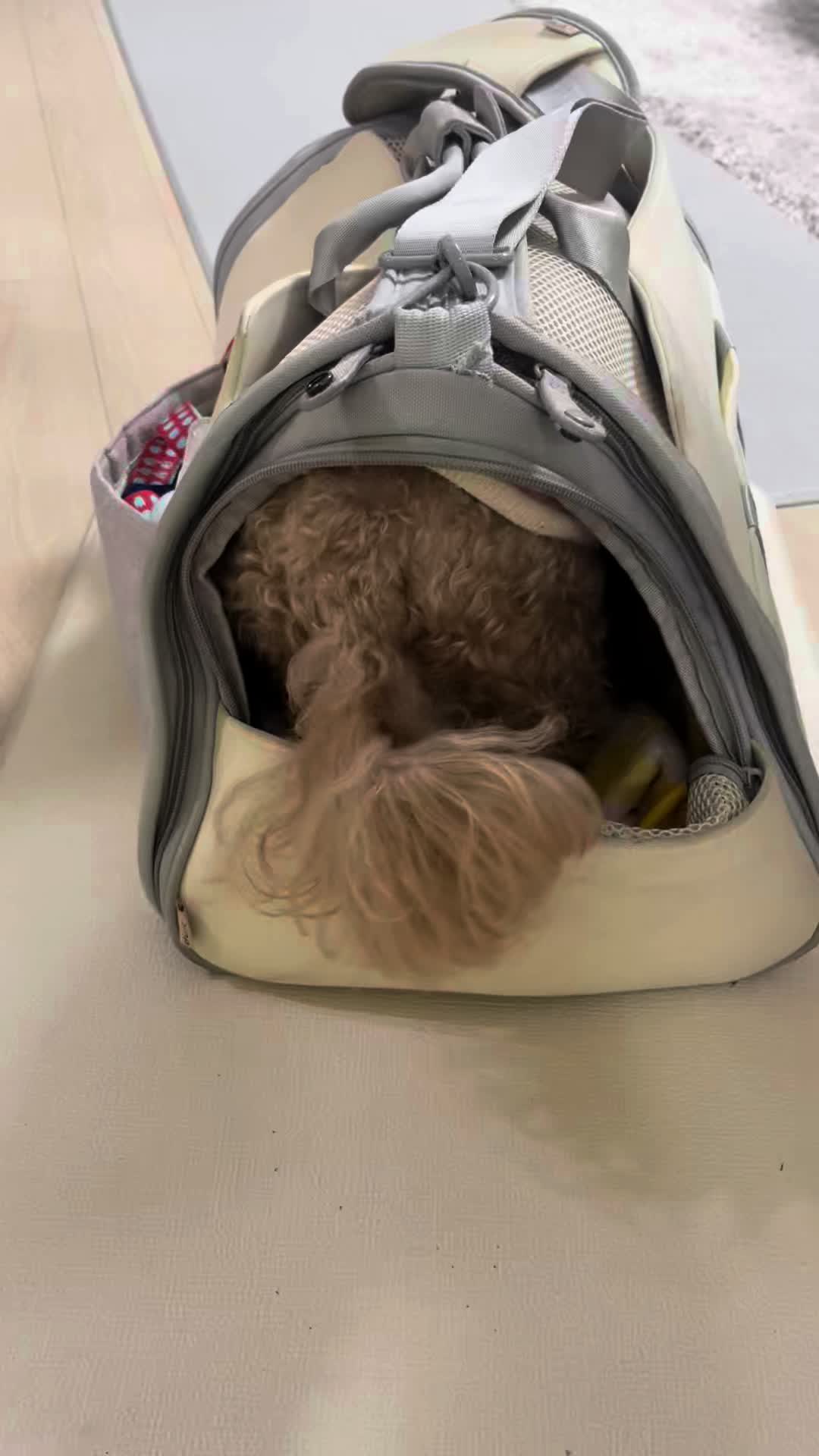 @꼬미