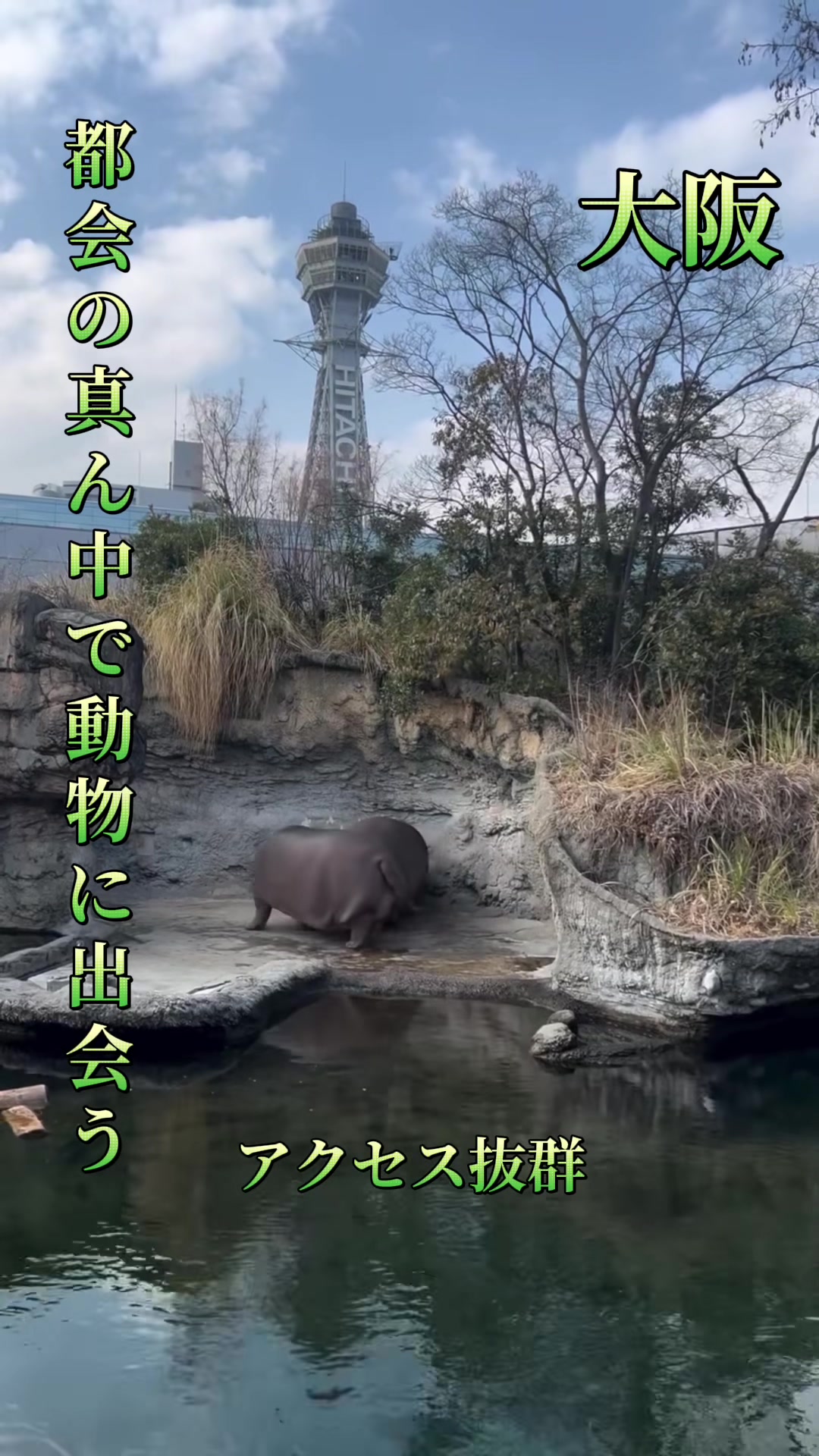 @寝不足夜更かしバリトン