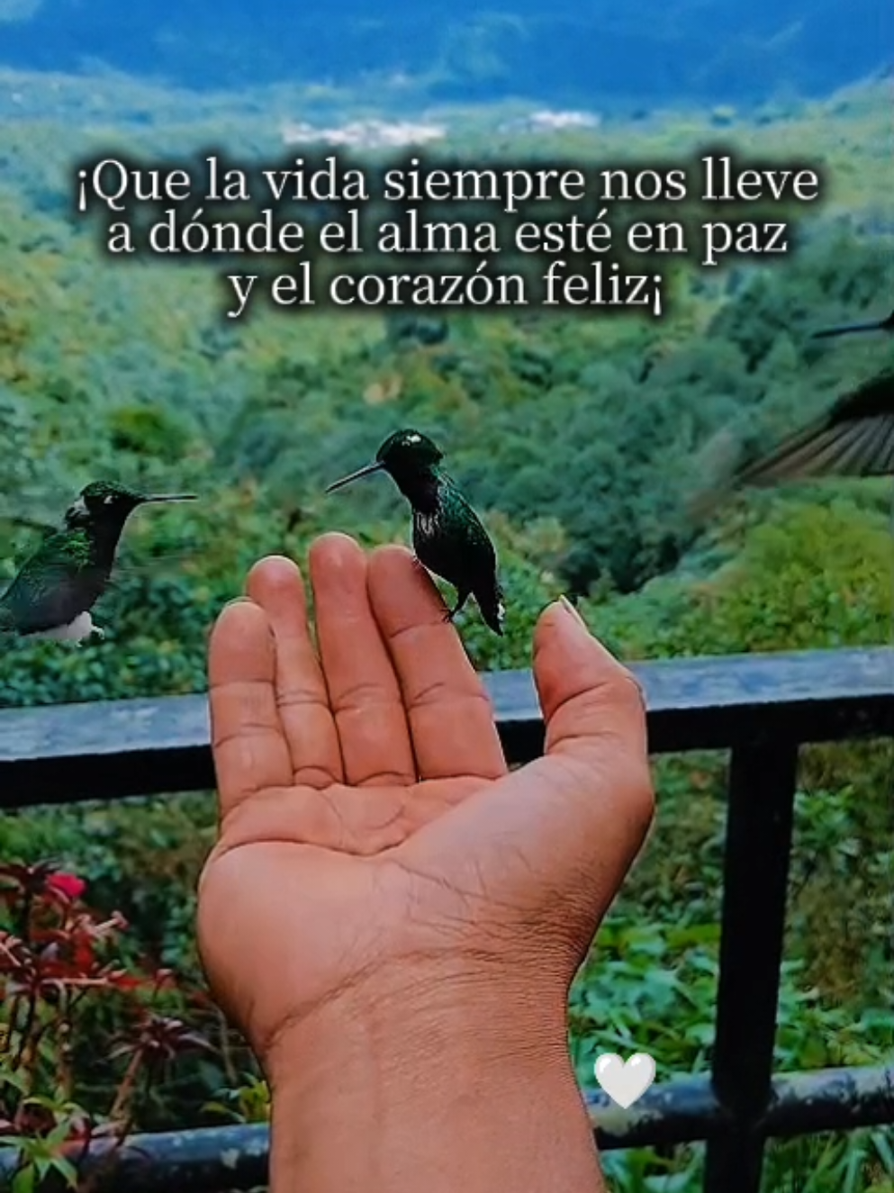 @Rubí 💎 Cantos💚