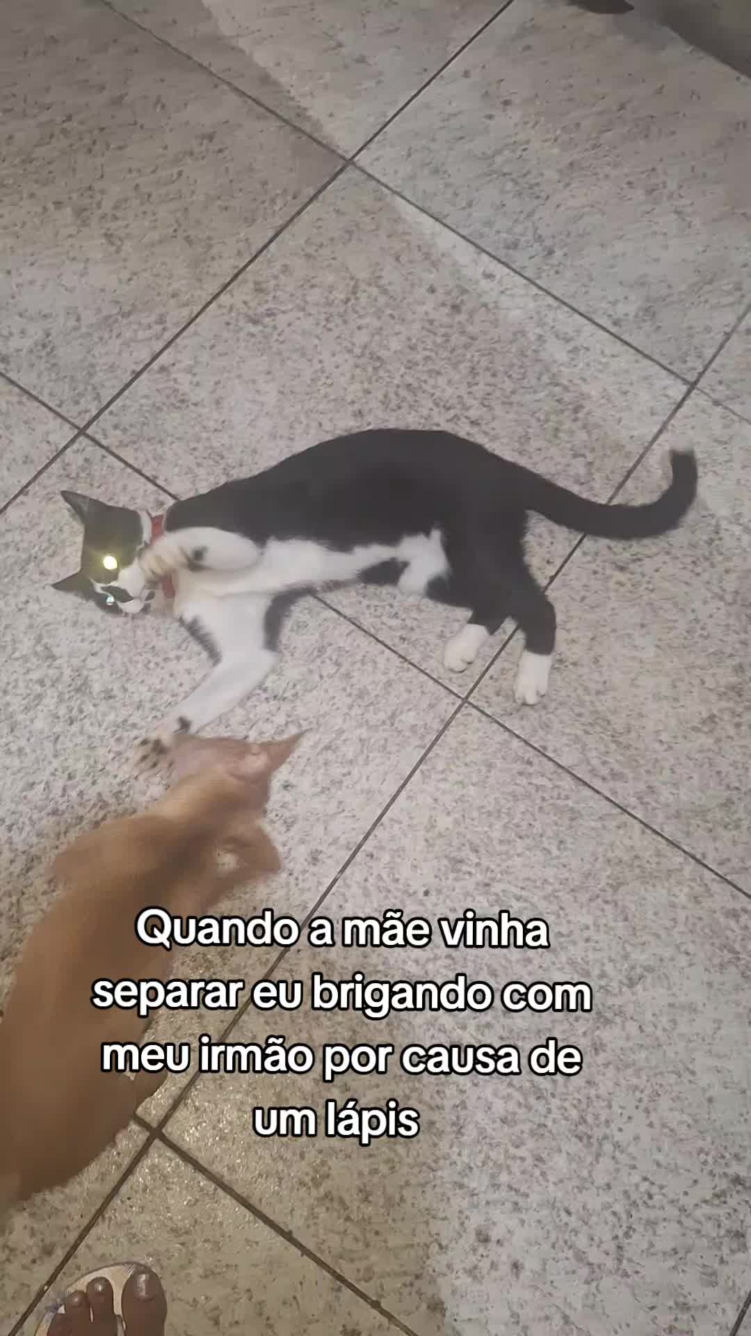 @Paloma Machado865