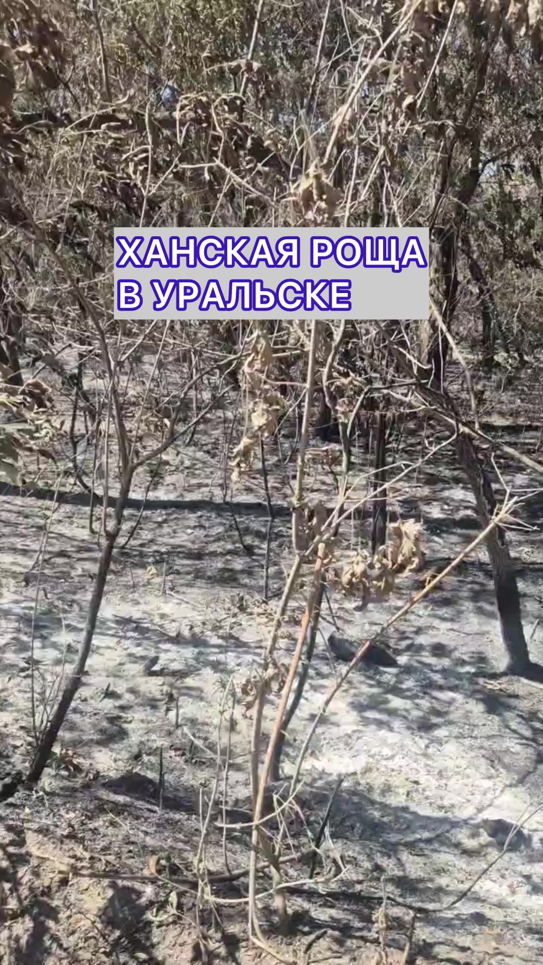 @Уральск в Онлайне
