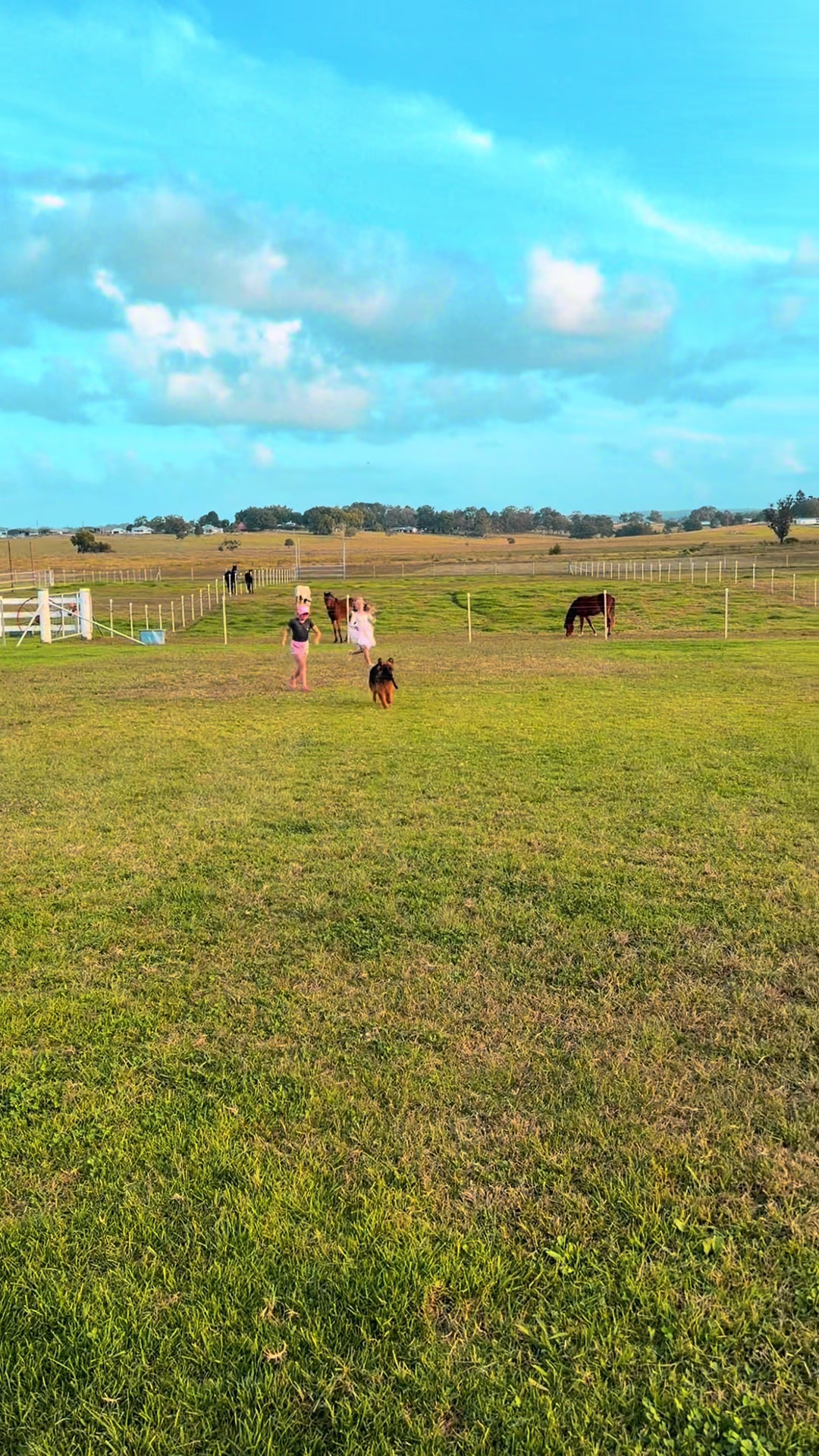 @RV Park Show Ponies