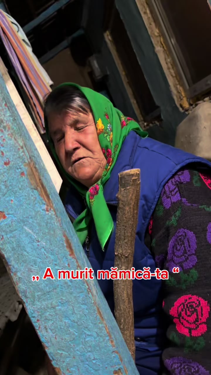 @alina
