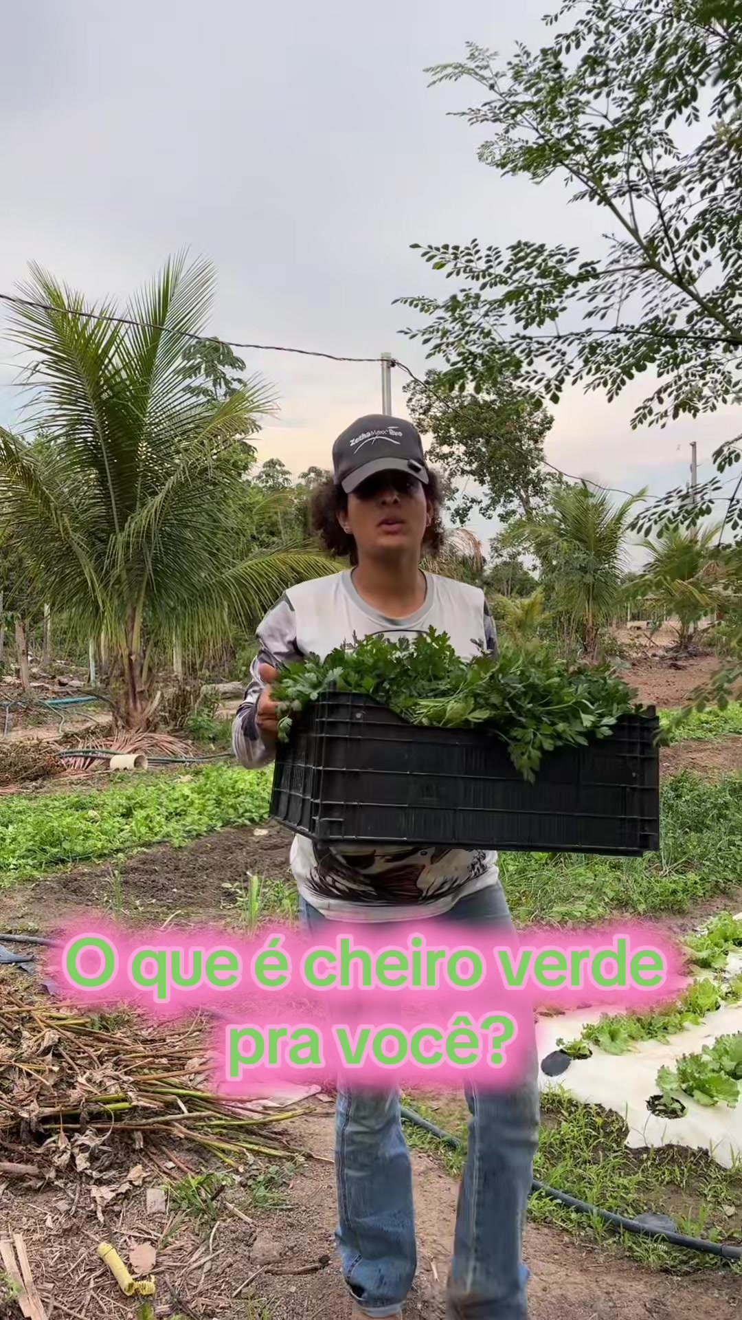 @irmaschacreiras