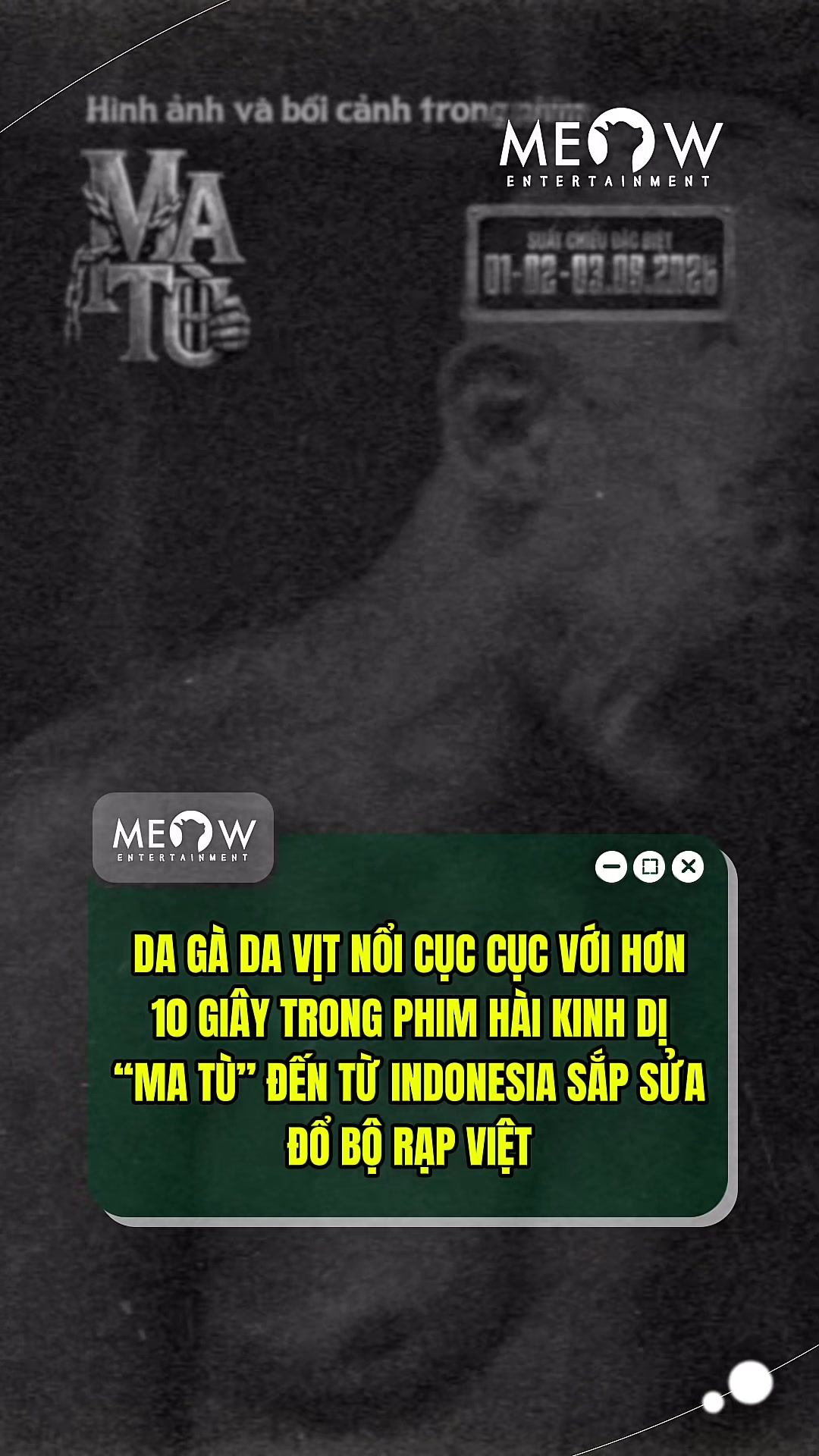 @MEOW ENTERTAINMENT