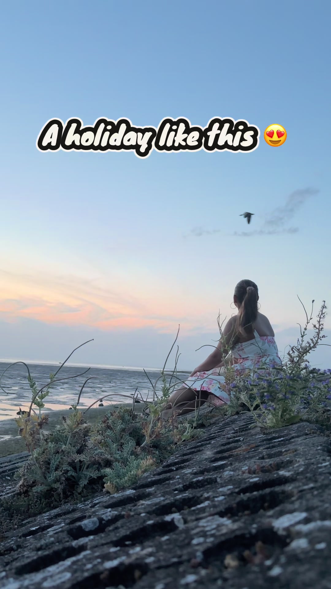 @himayadav22