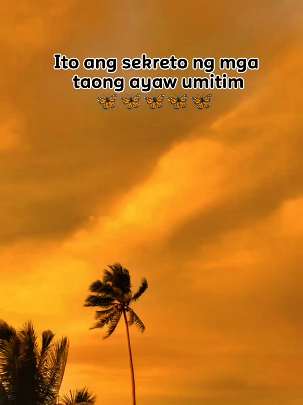 @M.S Janet