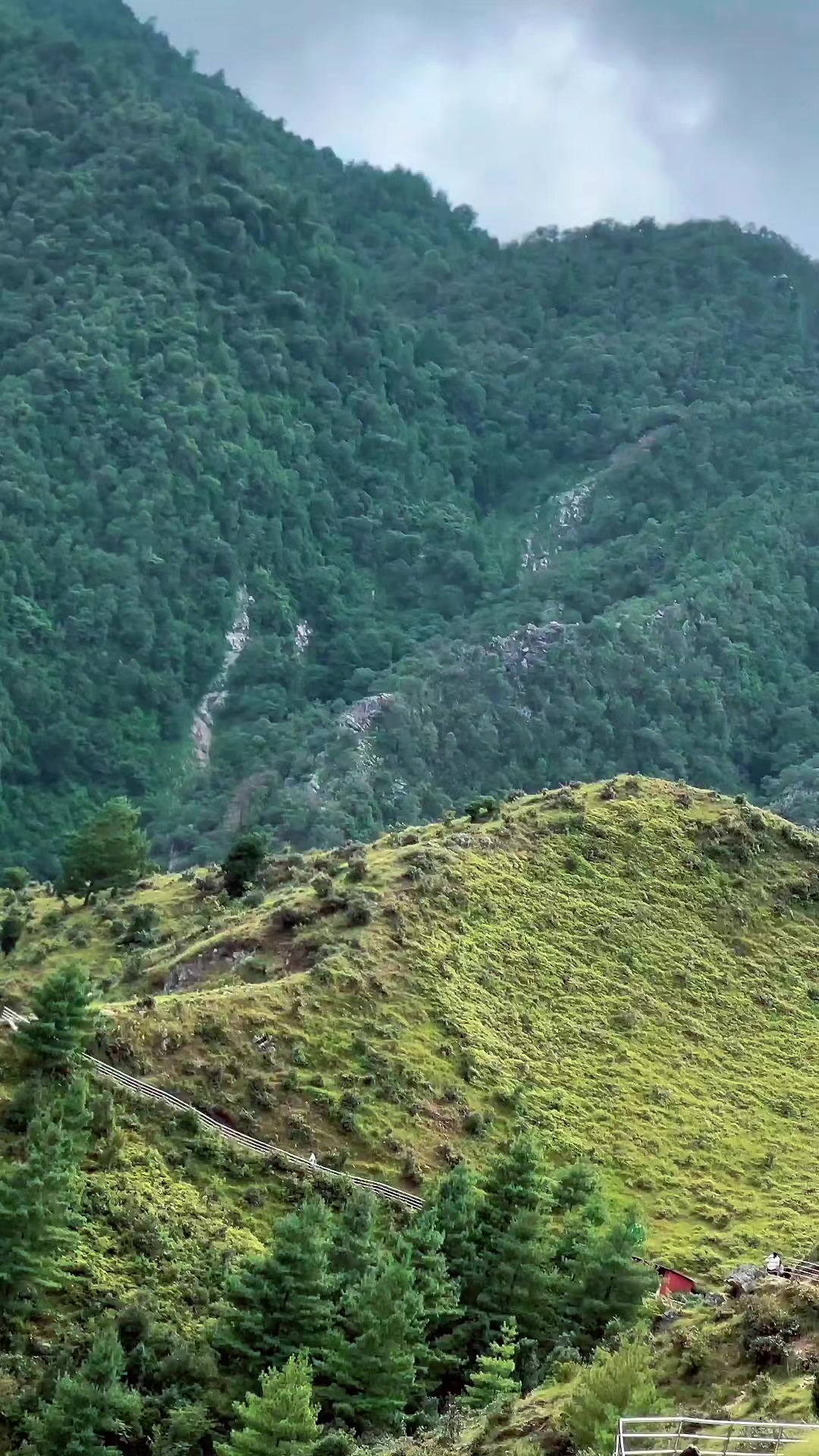 @Satish Mandal🇳🇵