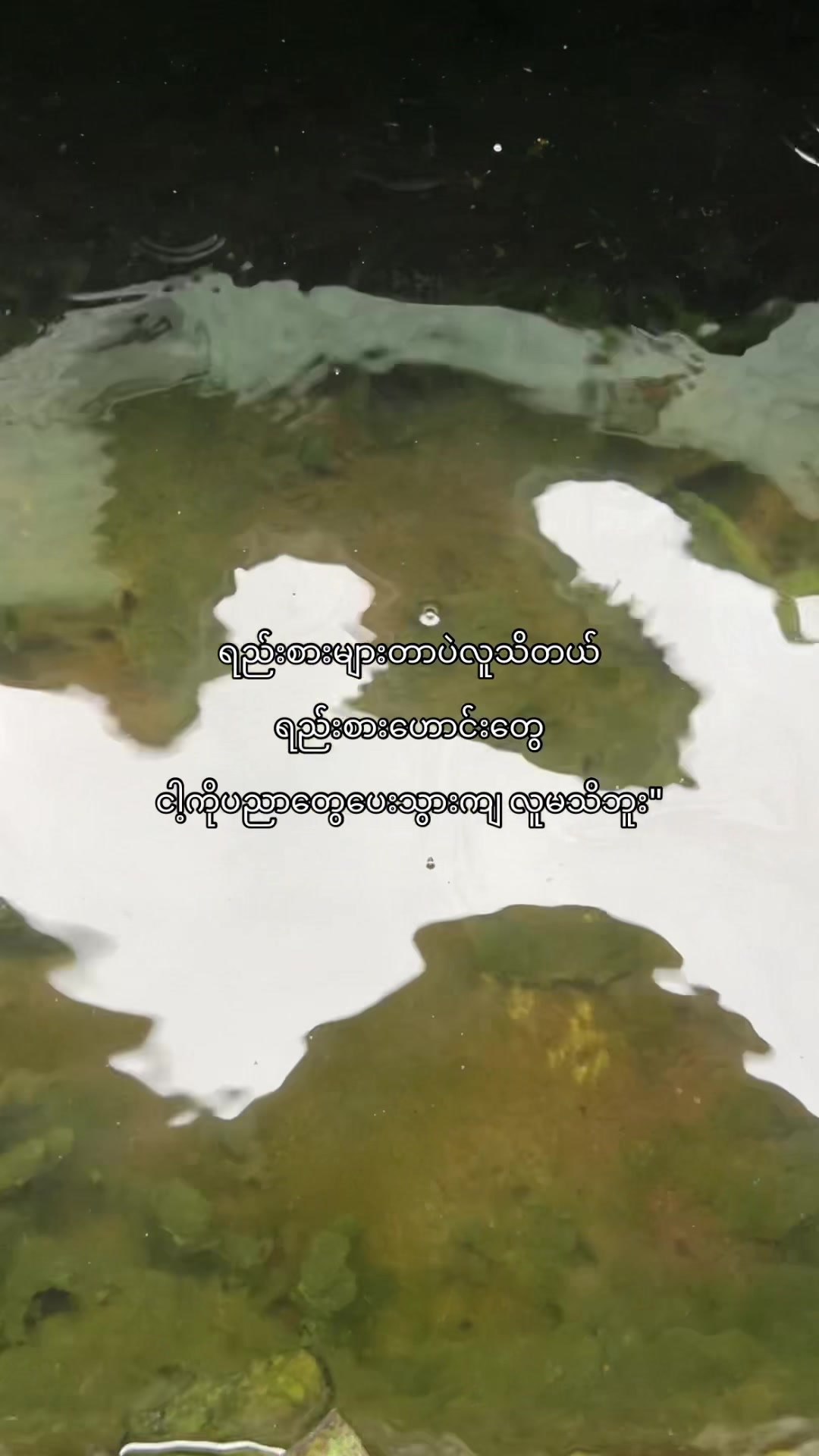 @๐๐ข๐ซ๐ (แแฎแแฌ)๐ฅ