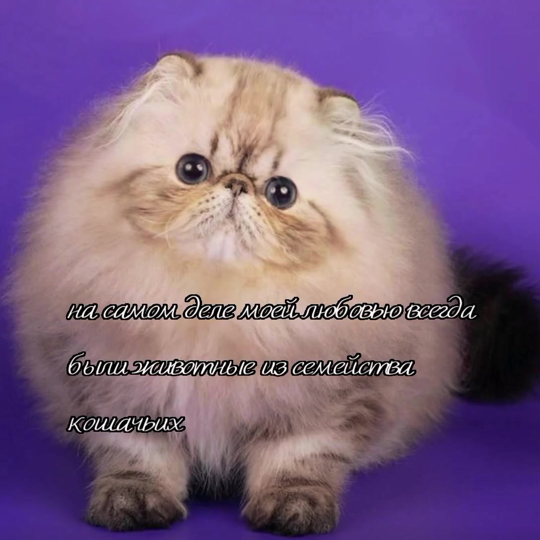@☄️🌌Андрей Балалайка