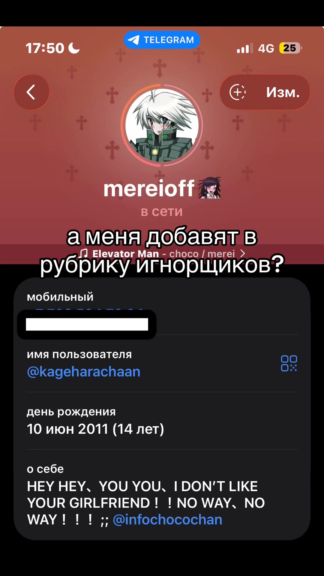 @котик киибо (kiibo’s fan)