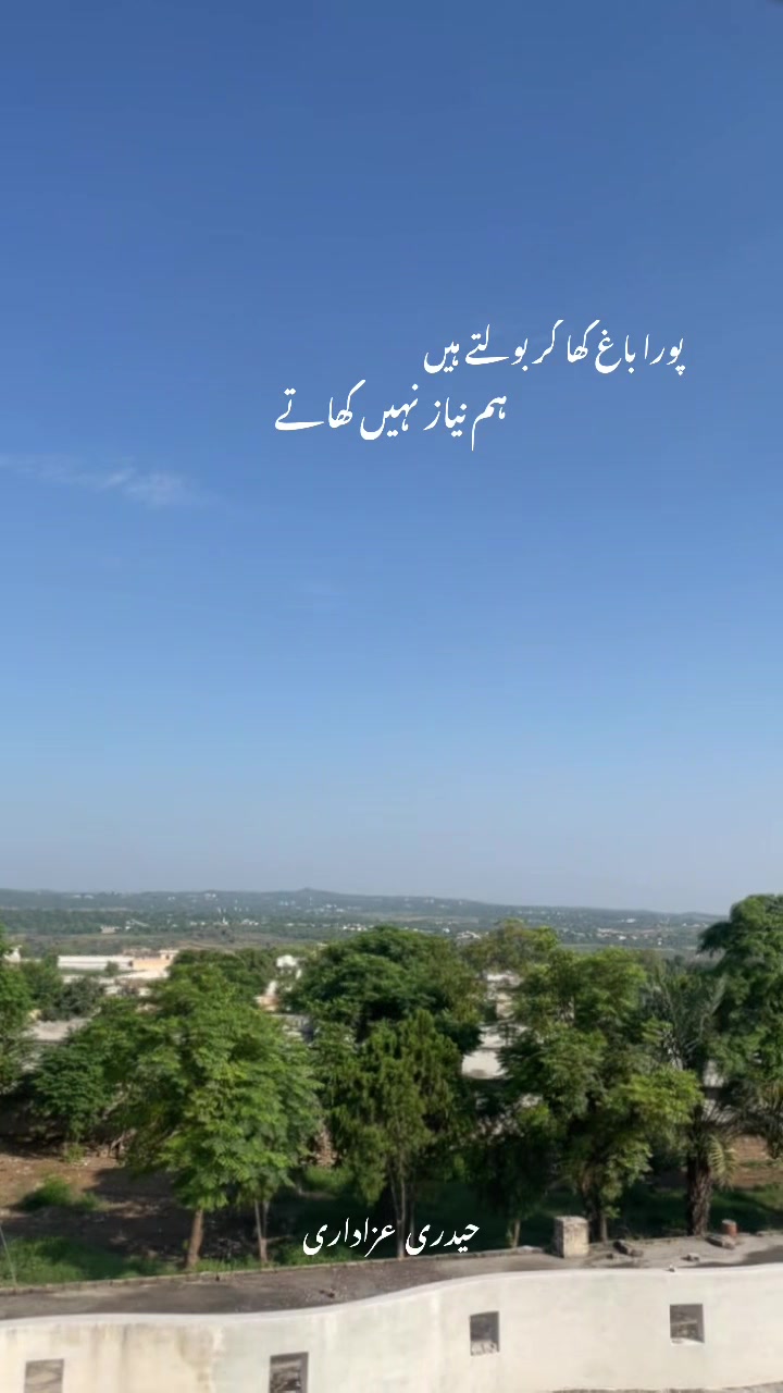 @کنزہ حیدری🖤