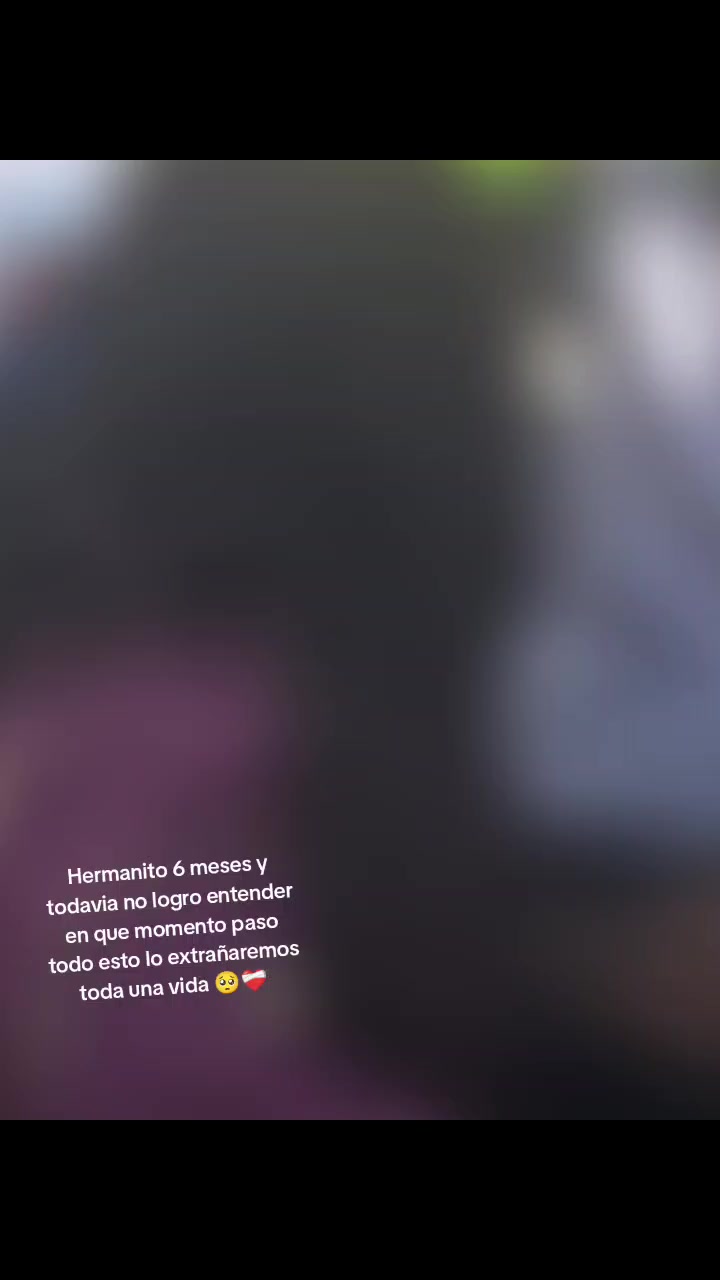 @paularodriguez1841