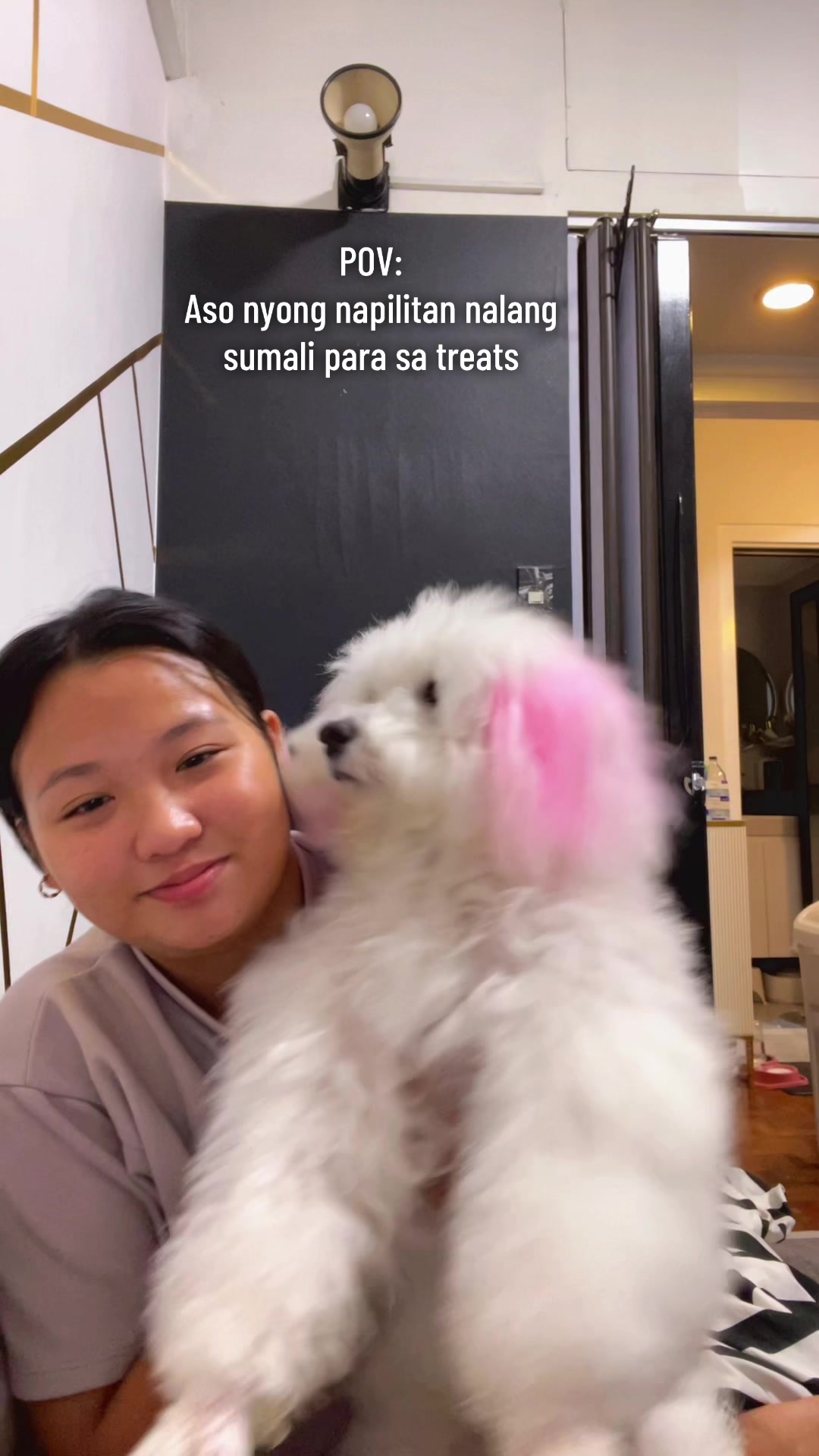 @CUCCI THE BICHON