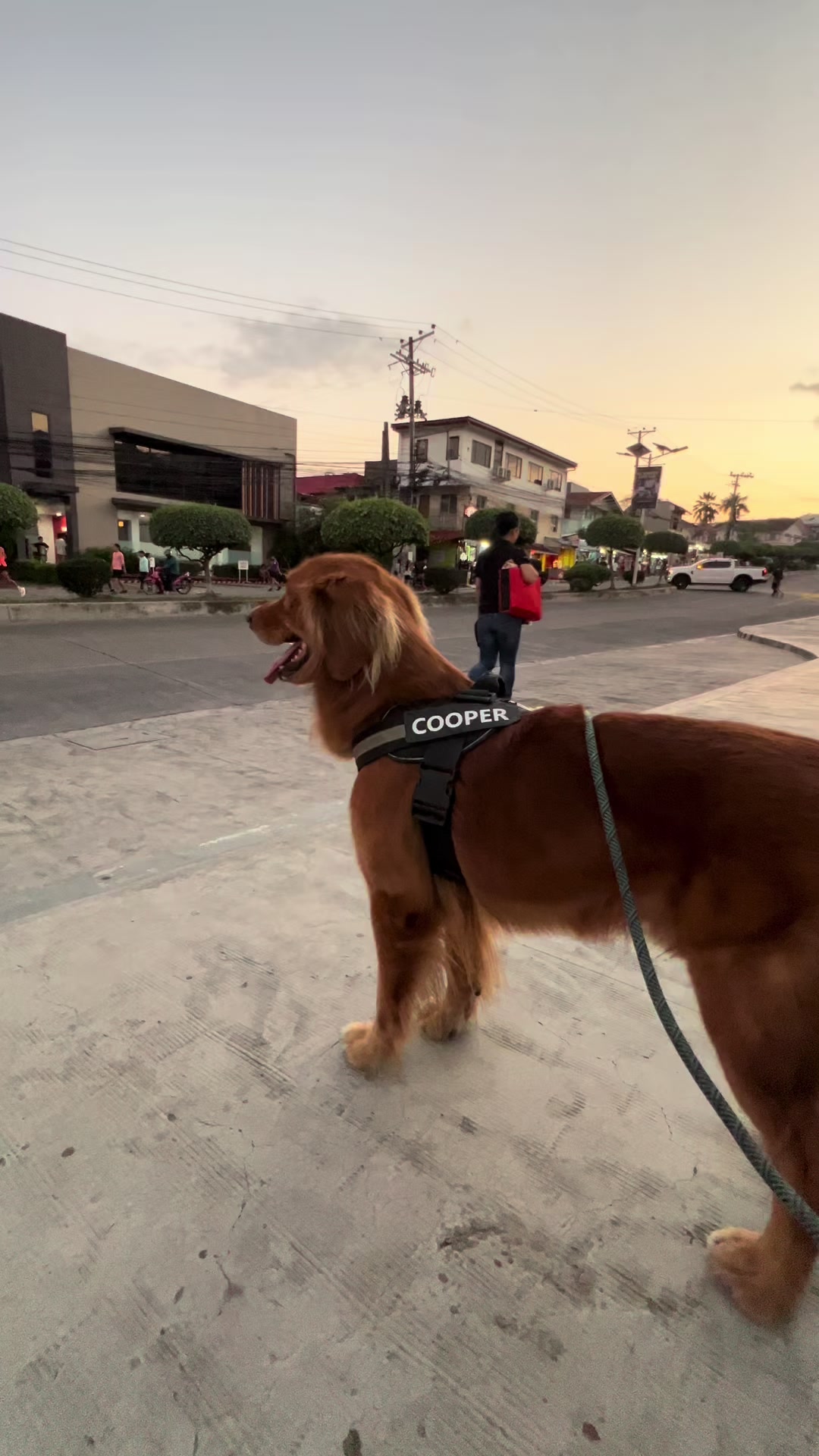 @Cooper&bros 🐾