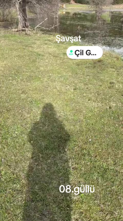 @08.G&Uuml;LL&Uuml;