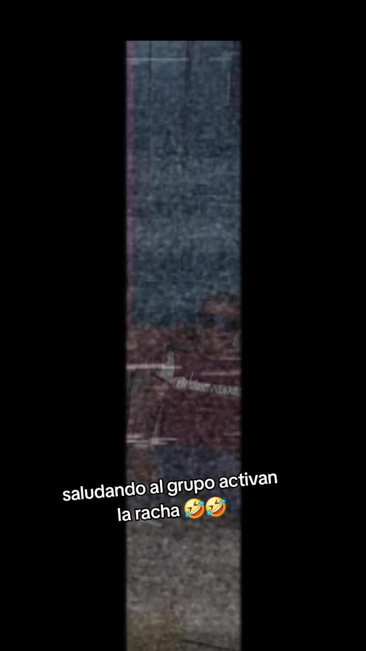 @el gallo 502